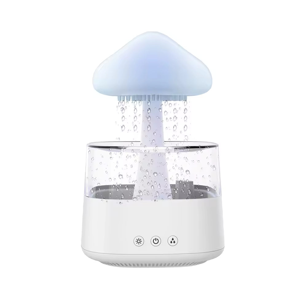 Rain Humidifier