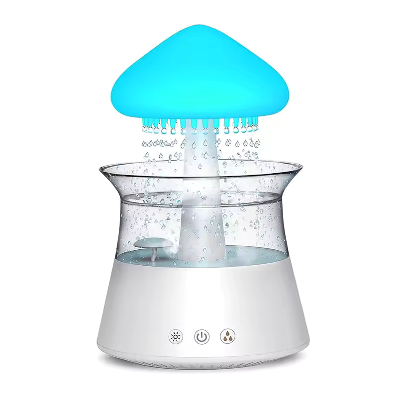 Rain Humidifier