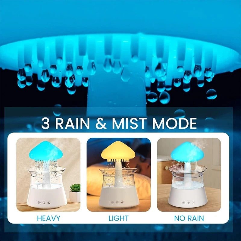Rain Humidifier