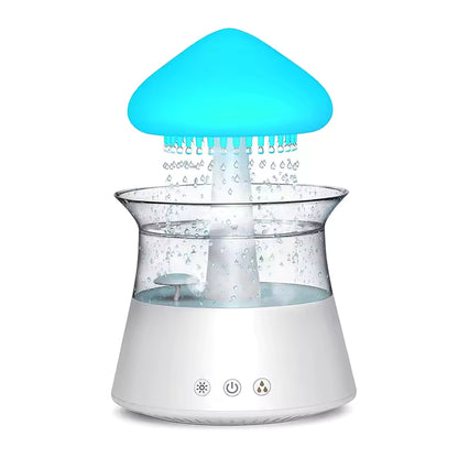 Rain Humidifier